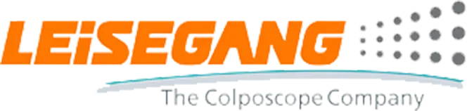 Leisegang