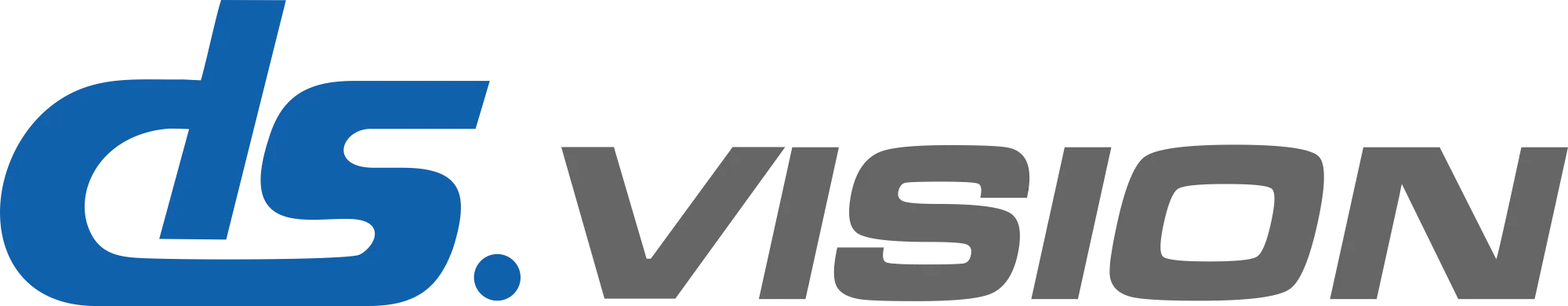 DS.Vision